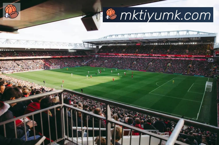 mksportsAPP 封面图